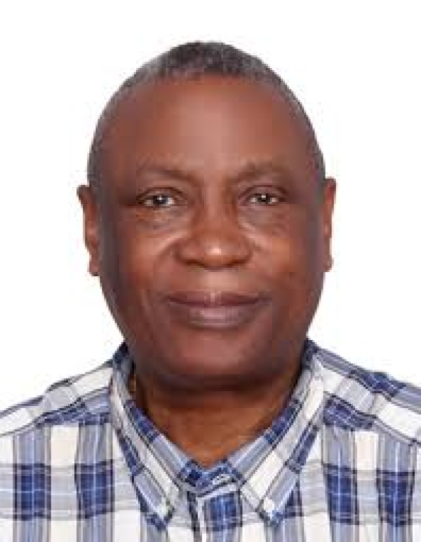 [OPINION] Constitution made in a hurry, made in error - Eric Teniola