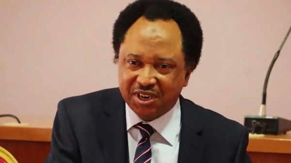 Opposition disunity a gift to Tinubu’s re-election in 2027 – Shehu Sani