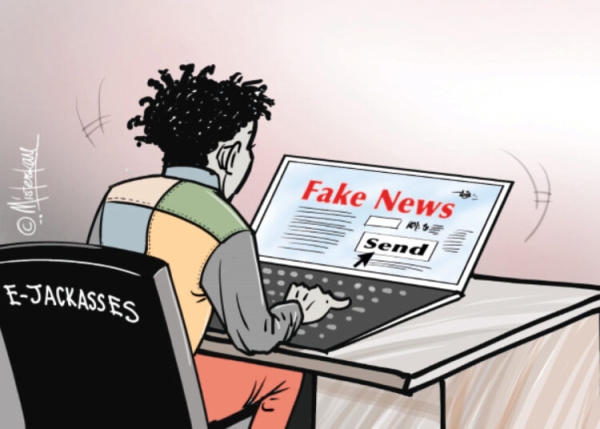 [OPINION] E-Jackasses On The Prowl! - Wole Olaoye
