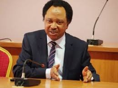 Shehu Sani: I almost got six months suspension for disclosing senators’ allowances in 2018