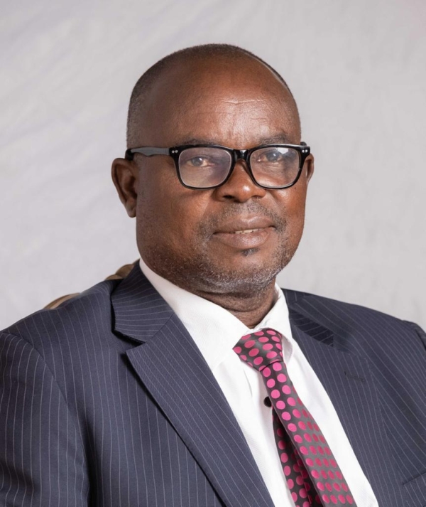 [OPINION] Compulsory voting bill: A wild goose chase - Bolanle Bolawole