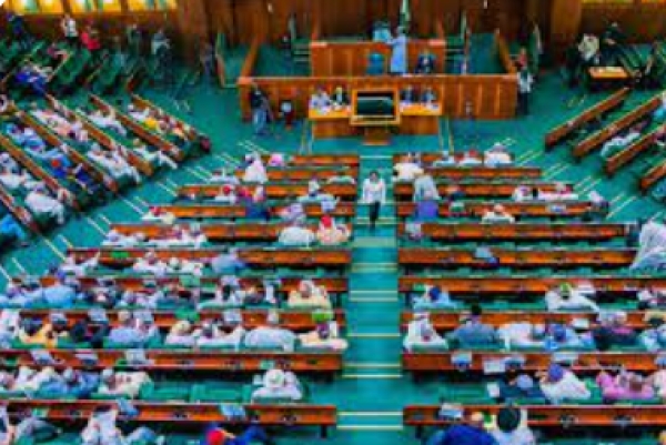 Reps pass ₦54.99tn 2025 budget