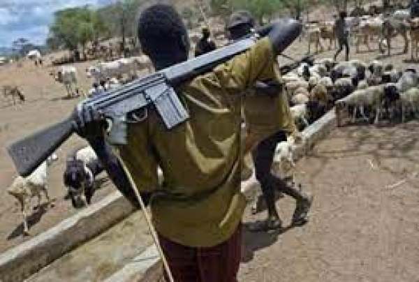 24 hours after quit notice, herders kill over 20 in Benue communities
