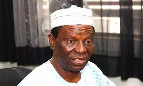 [OPINION] NASS: Forget law on compulsory voting - Tonnie Iredia