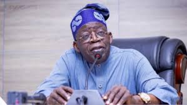Tinubu to inaugurate Elumelu-led disaster relief fund committee on May 13