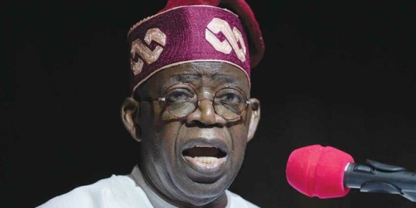 Afenifere Denies Endorsing Tinubu For 2027