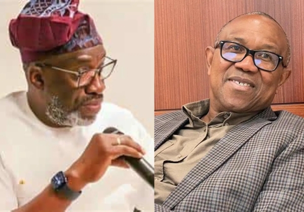 Coalition: Peter Obi is my greatest disappointment ahead of 2027  —  Sowunmi