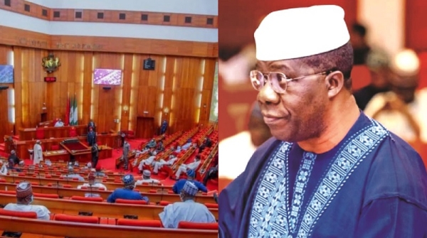National Assembly mulls extension of 2024 budget capital vote