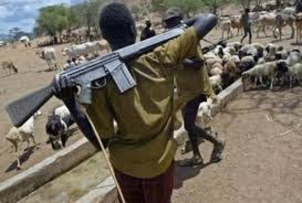 Suspected herdsmen hijack fully loaded vehicle, kill driver, abduct passengers in Benue