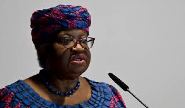 [OPINION] The WTO chief vs global powers: Collaboration and not geopolitical schism - Eyitayo Ande