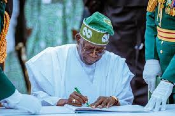 Tinubu names new governing council members for UniAbuja, UNN, NAU