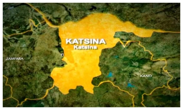 Four Family Members Die After Allegedly Consuming Spaghetti in Katsina