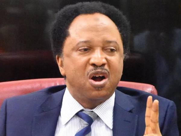 You lack moral ground to criticise Tinubu - Shehu Sani fires back at El-Rufai, Amaechi