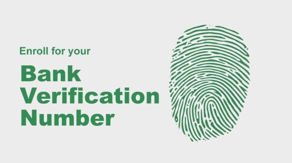 Work permit, valid passport, N80k fee - how Nigerians in diaspora can apply for BVN