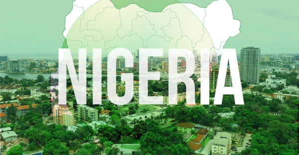 10 new sectors booming in Nigeria with limited government support