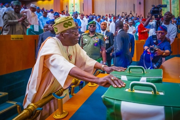 Fed Govt allays fear over threat to Budget 2025 implementation