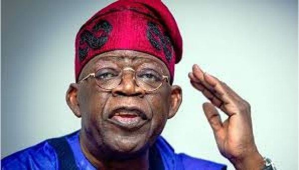 Where democracy matters, Tinubu scored low on rule of law