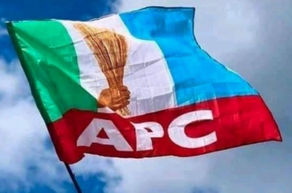 Why we didn’t endorse Shettima with Tinubu — APC clarifies