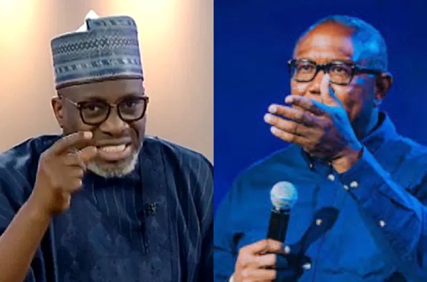 2027: ‘The Future Of Nigeria Is In Peter Obi, Other Candidates Are Fake’ – PDP Chieftain, Sowunmi