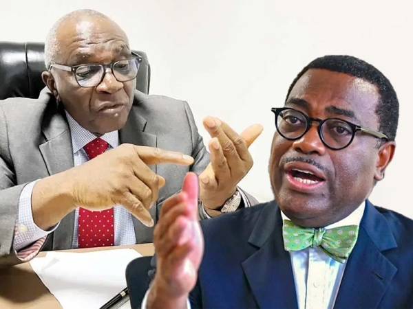 Presidency tackles  AfDB’s Adesina over Nigeria’s GDP Per capita claims
