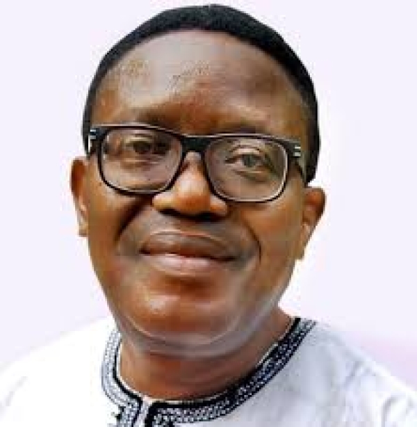[OPINION] If you are a migrant, stay alive - Owei Lakemfa