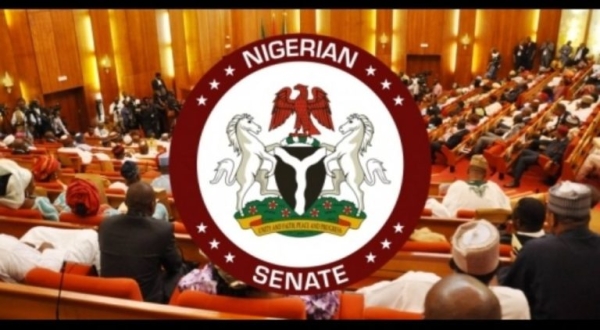 Senate’s Proposed Security Summit Faces Criticism Over Lack of Implementation Framework