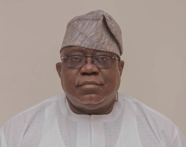 [OPINION] Public Service in Nigeria and the Big Questions  of Public Administration - Tunji Olaopa