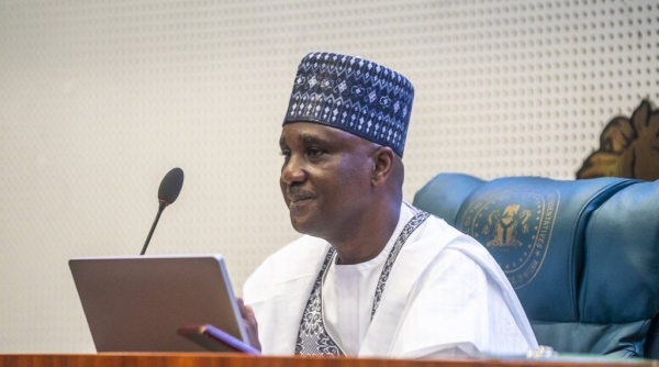 Nigeria To Provide Electricity For 300 million Africans - Says Abbas