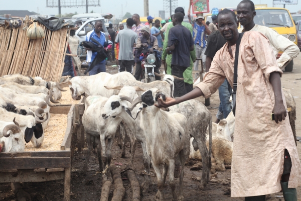 Saudi Arabia declares June 6 as Sallah day