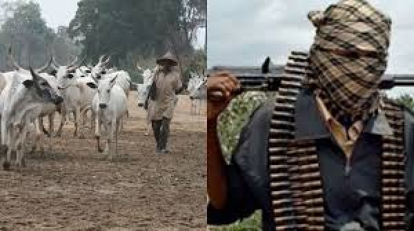 Catholic priest shot by suspected herdsmen in Benue