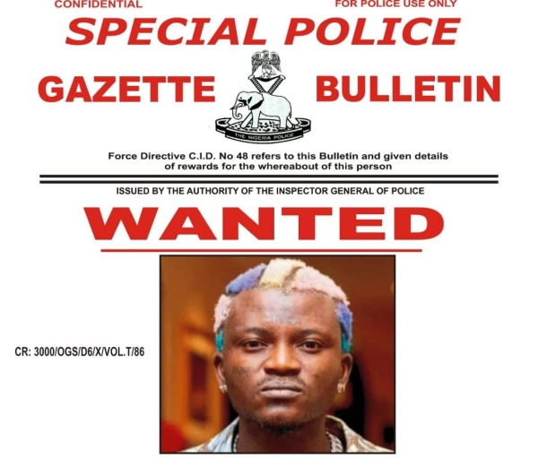 Portable Declared Wanted Over Alleged Assault On Ogun Officials