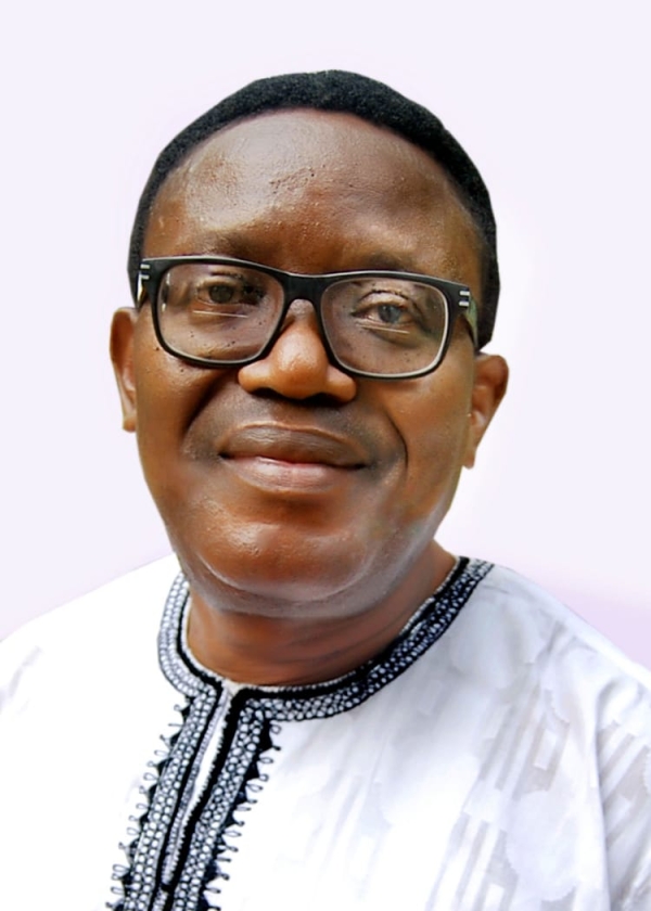 [OPINION] How the military taught Nigerians the art of looting - Owei Lakemfa