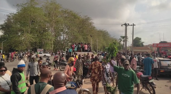 Stay Away from June 12 Protest  -  Ohanaeze Faction Tells Ndigbo